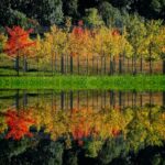 Photo matching colors