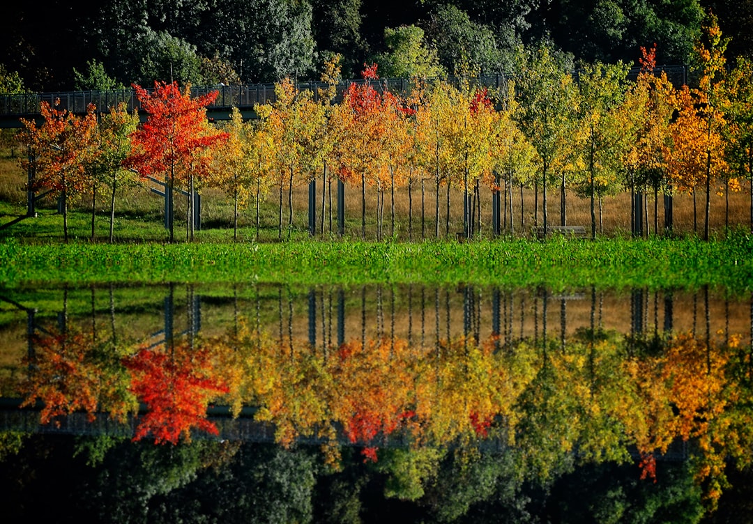 Photo matching colors