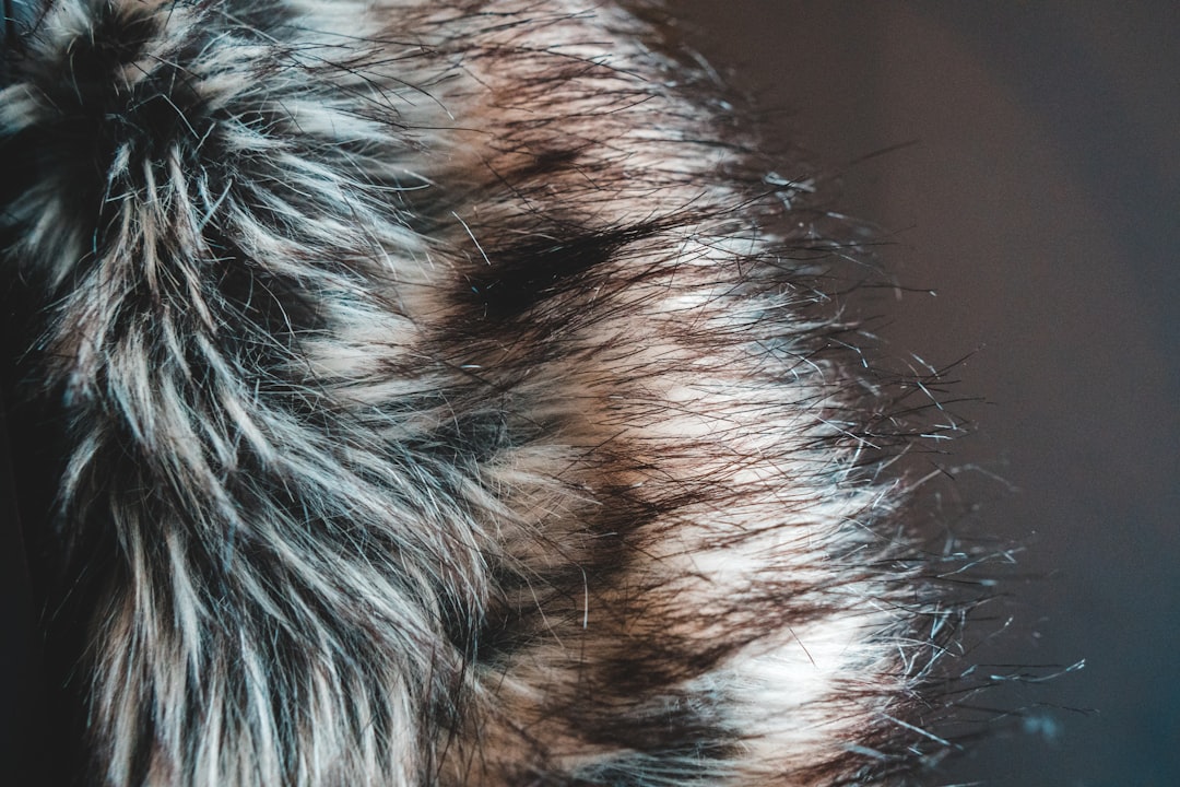 Photo fur vest
